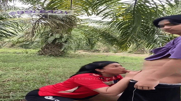 Remaja Abg Asia Viral Cod Janjian Di Kebun Sawit Top Trending All Of Time 2026