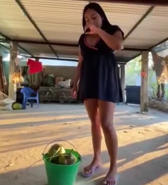 Nonton Drama Barat Janda Penjual Kelapa Muda Yang Sangat Ramah